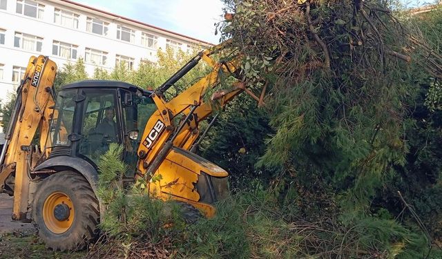 Körfez'de Yeşil Alanların Bakımı Yapılıyor