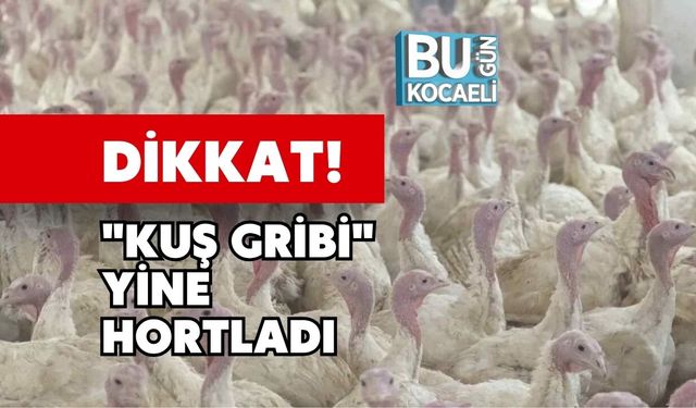 Dikkat! "Kuş Gribi" Yine Hortladı