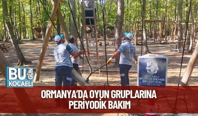 Ormanya’da Oyun Gruplarına Periyodik Bakım
