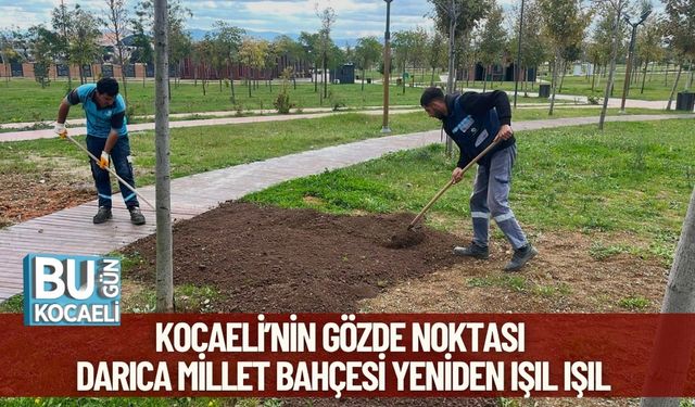 Kocaeli’nin Gözde Noktası Darıca Millet Bahçesi Yeniden Işıl Işıl