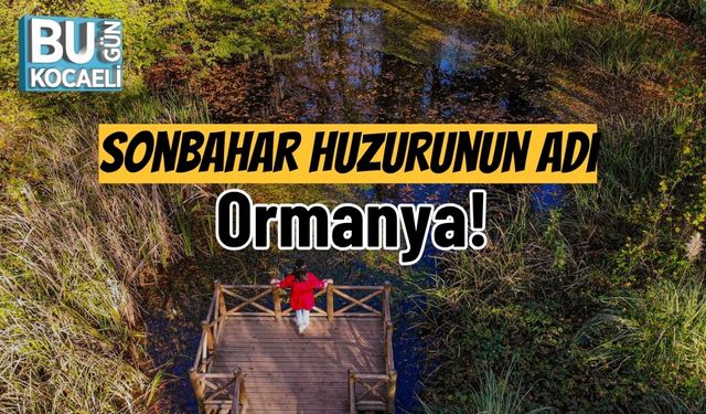 Sonbahar Huzurunun Adı: Ormanya!