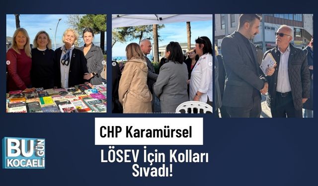 CHP Karamürsel LÖSEV İçin Kolları Sıvadı!