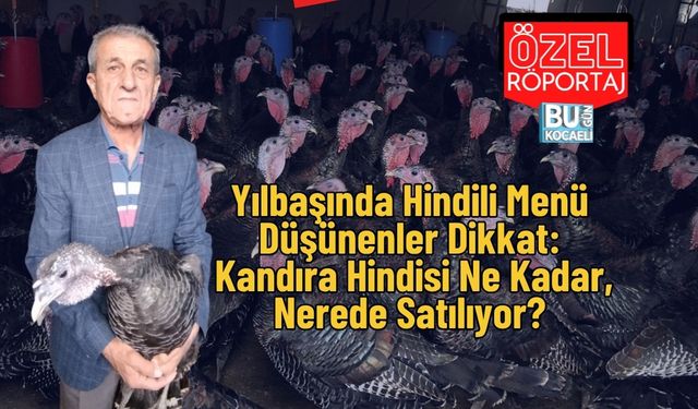 Yılbaşında Hindili Menü Düşünenler Dikkat: Kandıra Hindisi Ne Kadar, Nerede Satılıyor?