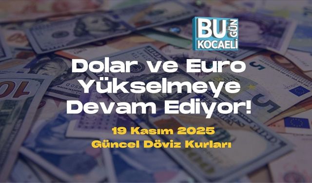 Dolar ve Euro Yükselmeye Devam Ediyor! 19 Kasım 2025 Güncel Döviz Kurları
