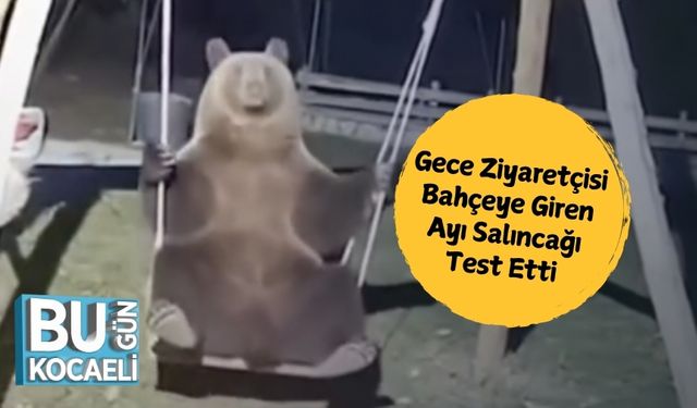 Gece Ziyaretçisi: Bahçeye Giren Ayı Salıncağı Test Etti