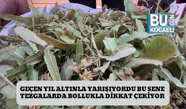 Geçen Yıl Altınla Yarışıyordu Bu Sene Tezgalarda Bollukla Dikkat Çekiyor