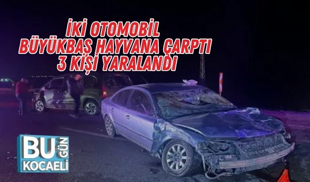 İki Otomobil Büyükbaş Hayvana Çarptı: 3 Kişi Yaralandı