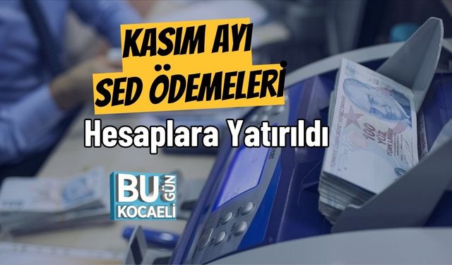 Kasım Ayı SED Ödemeleri Hesaplara Yatırıldı