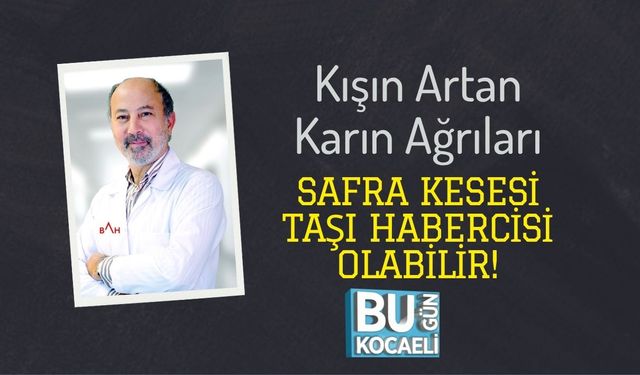 Kışın Artan Karın Ağrıları Safra Kesesi Taşı Habercisi Olabilir!