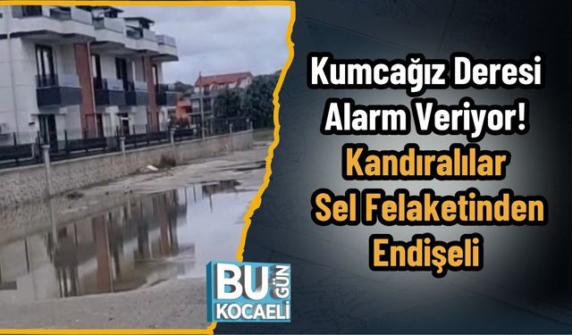Kumcağız Deresi Alarm Veriyor! Kandıralılar Sel Felaketinden Endişeli