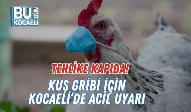 Tehlike Kapıda! Kuş Gribi İçin Kocaeli’de Acil Uyarı