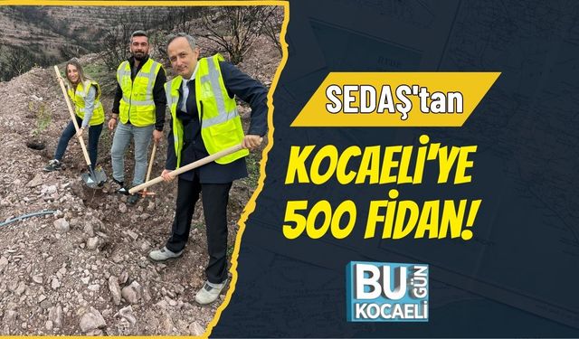 SEDAŞ'tan Kocaeli'ye 500 Fidan!