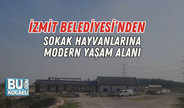 İzmit Belediyesi’nden Sokak Hayvanlarına Modern Yaşam Alanı