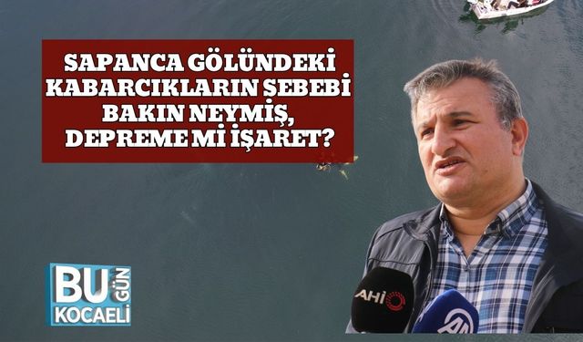 Uzmanı Açıkladı! Sapanca Gölündeki Kabarcıkların Sebebi Bakın Neymiş, Depreme mi İşaret?
