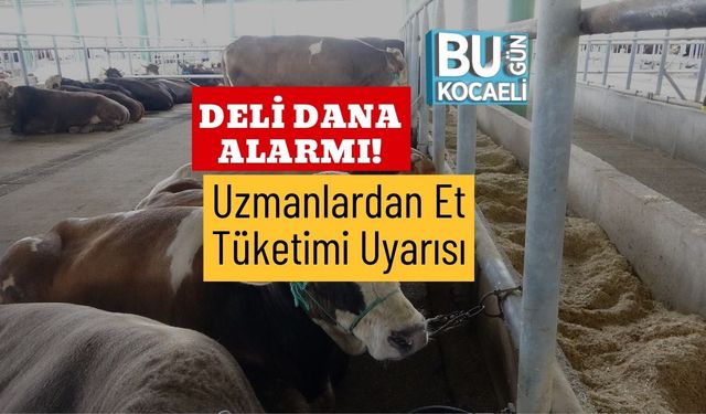 Deli Dana Alarmı! Uzmanlardan Et Tüketimi Uyarısı