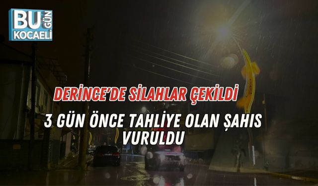 Derince'de Silahlar Çekildi: 3 Gün Önce Tahliye Olan Şahıs Vuruldu
