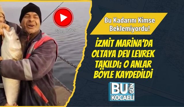 Bu Kadarını Kimse Beklemiyordu! İzmit Marina'da Oltaya Dev Levrek Takıldı; O Anlar Böyle Kaydedildi