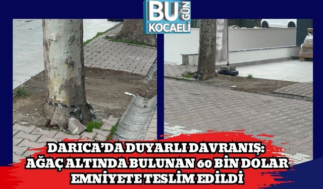 Darıca’da Duyarlı Davranış: Ağaç Altında Bulunan 60 Bin Dolar Emniyete Teslim Edildi
