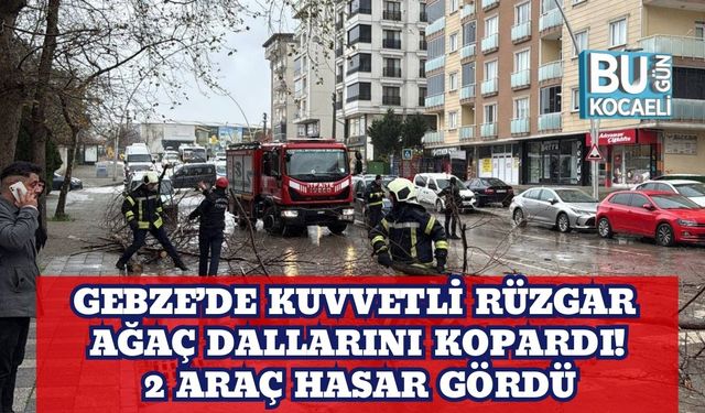 Gebze’de Kuvvetli Rüzgar Ağaç Dallarını Kopardı! 2 Araç Hasar Gördü