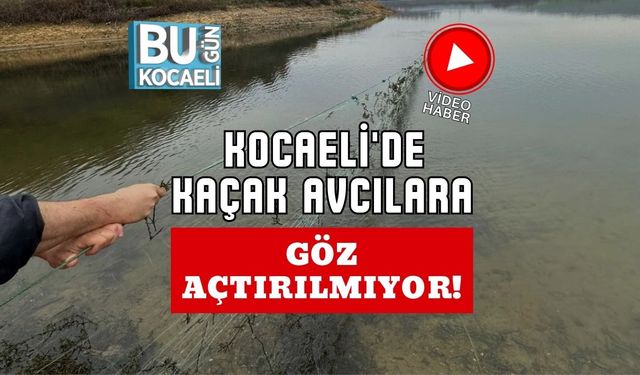 Kocaeli'de Kaçak Avcılara Göz Açtırılmıyor!