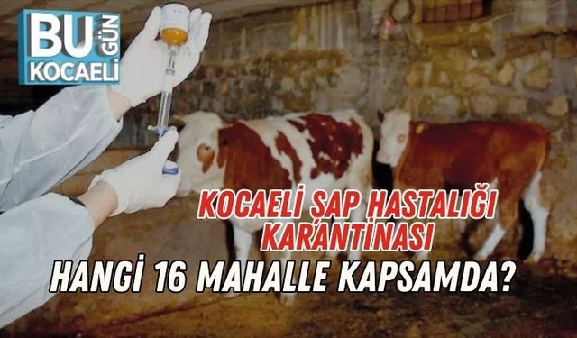 Kocaeli Şap Hastalığı Karantinası: Hangi 16 Mahalle Kapsamda?