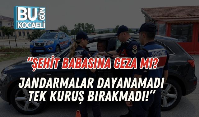 “Şehit Babasına Ceza Mı? Jandarmalar Dayanamadı, Tek Kuruş Bırakmadı!”