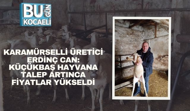 Karamürselli Üretici Erdinç Can: Küçükbaş Hayvana Talep Artınca Fiyatlar Yükseldi