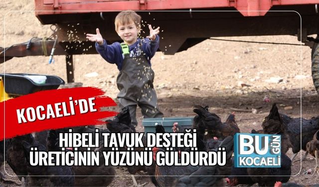 Kocaeli’de Hibeli Tavuk Desteği Üreticinin Yüzünü Güldürdü