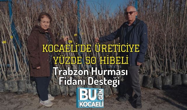 Kocaeli’de Üreticiye Yüzde 50 Hibeli Trabzon Hurması Fidanı Desteği