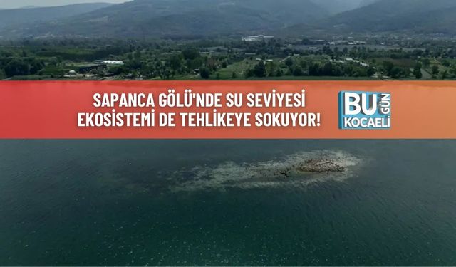 Sapanca Gölü'nde Su Seviyesi Ekosistemi de Tehlikeye Sokuyor!