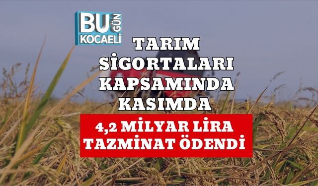 Tarım Sigortaları Kapsamında Kasımda 4,2 Milyar Lira Tazminat Ödendi