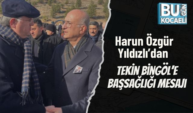 Harun Özgür Yıldızlı’dan Tekin Bingöl’e Başsağlığı Mesajı