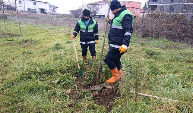 Başiskele’de Yeşil Gelecek İçin Yeni Adımlar