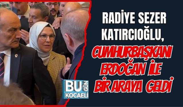 Radiye Sezer Katırcıoğlu, Cumhurbaşkanı Erdoğan İle Bir Araya Geldi