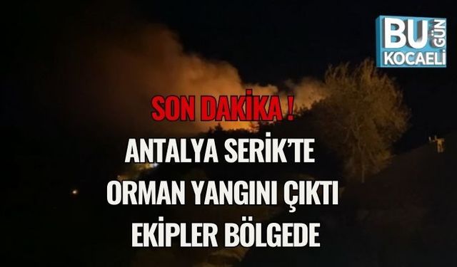 Son Dakika | Antalya Serik’te Orman Yangını Çıktı: Ekipler Bölgede