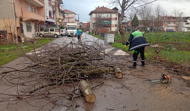 Başiskele’de Fırtına Hayatı Aksattı, Ekipler Gece Gündüz Çalıştı