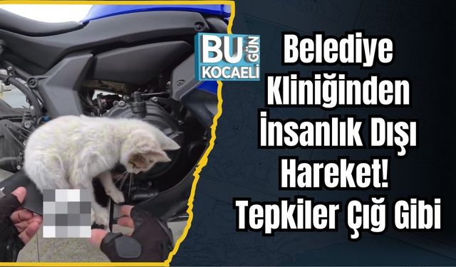 Belediye Kliniğinden İnsanlık Dışı Hareket! Tepkiler Çığ Gibi