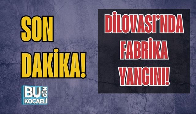 Dilovası’nda Fabrika Yangını!