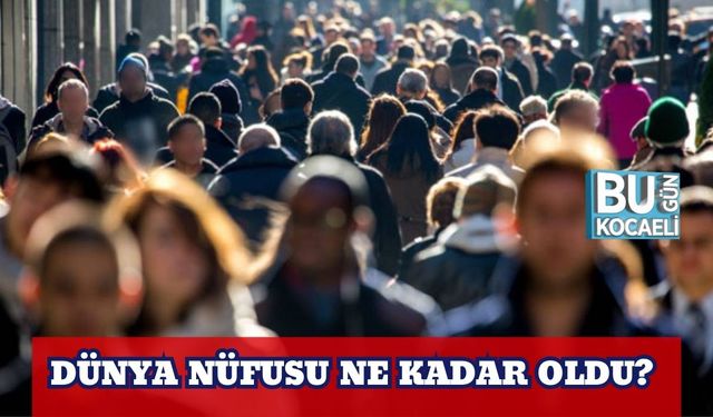 Dünya Nüfusu Ne Kadar Oldu?