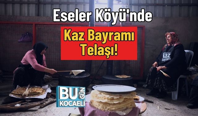 Eseler Köyü'nde Kaz Bayramı Telaşı!