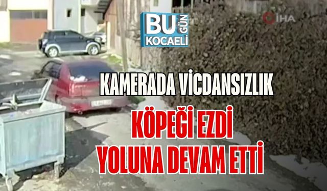 Kamerada Vicdansızlık: Köpeği Ezdi, Yoluna Devam Etti