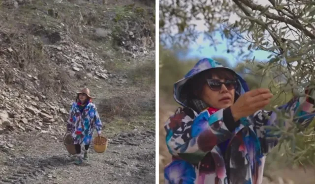 Mehtap Bayri Zeytinyağı Markasıyla Üretici Oldu