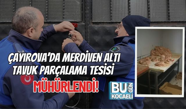 Çayırova’da Merdiven Altı Tavuk Parçalama Tesisi Mühürlendi!