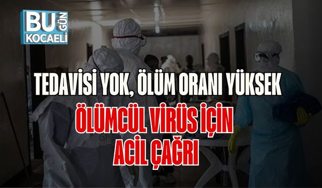 Tedavisi Yok, Ölüm Oranı Yüksek: Ölümcül Virüs İçin Acil Çağrı