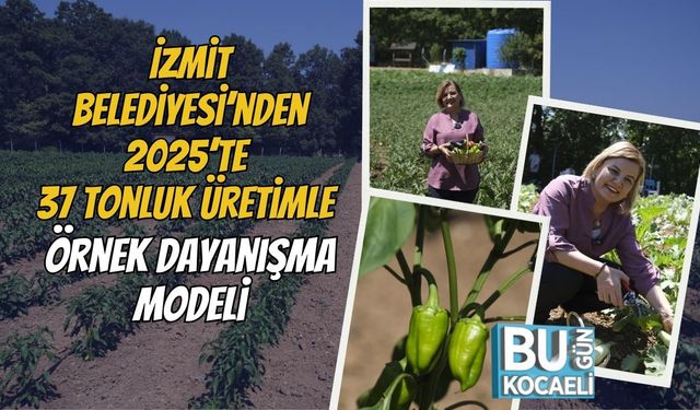 İzmit Belediyesi’nden 2025’te 37 Tonluk Üretimle Örnek Dayanışma Modeli