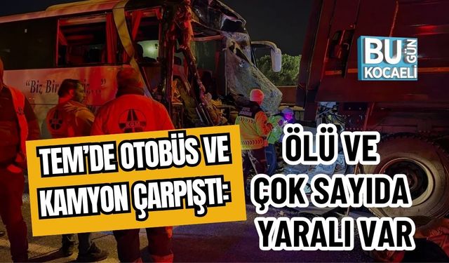 TEM’de Otobüs ve Kamyon Çarpıştı: Ölü ve  Çok Sayıda Yaralı Var
