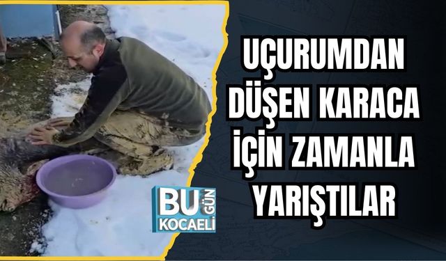 Uçurumdan Düşen Karaca İçin Zamanla Yarıştılar