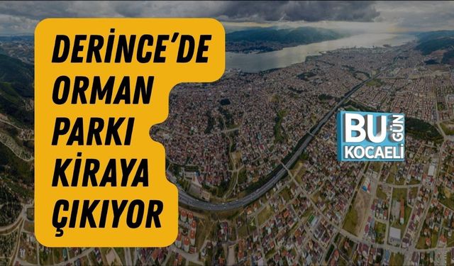 DERİNCE’DE ORMAN PARKI KİRAYA ÇIKIYOR