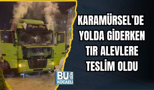 Karamürsel’de Yolda Giderken Tır Alevlere Teslim Oldu
