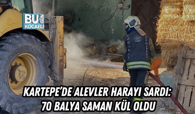 KARTEPE’DE ALEVLER HARAYI SARDI: 70 BALYA SAMAN KÜL OLDU